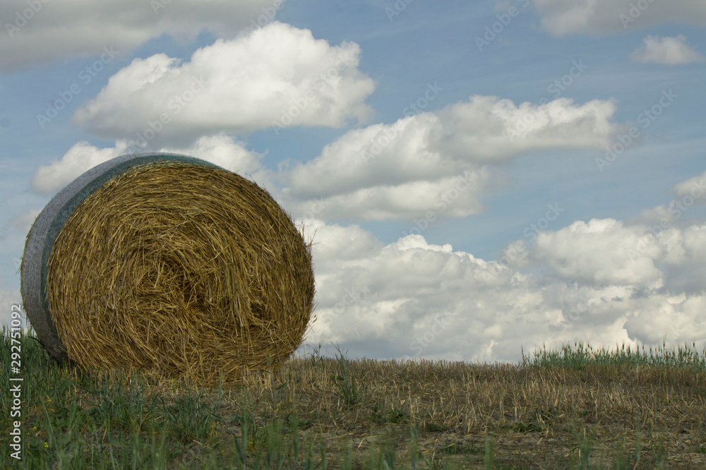 country landscape in tuscany