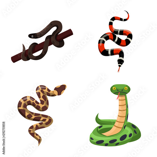Isolated object of snake and creepy symbol. Set of snake and danger stock vector illustration.