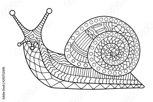 Snail coloring page contour vector illustration for children and adults