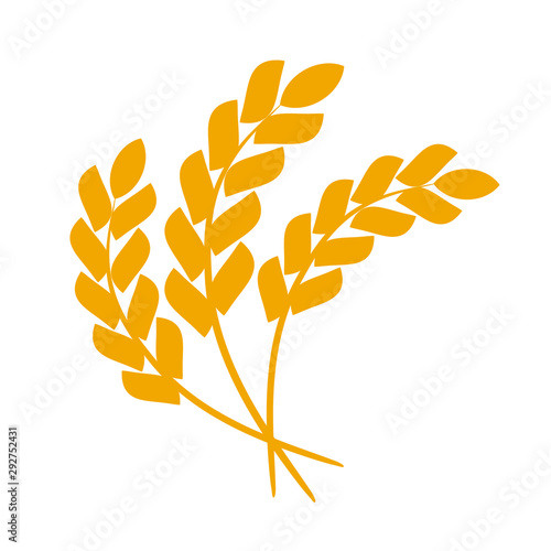 Wheat or barley ears. Harvest wheat grain, growth rice stalk and whole bread grains or field cereal nutritious rye grained agriculture products ear symbol. Isolated vector icon