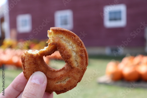 Cider donuts with fall background 