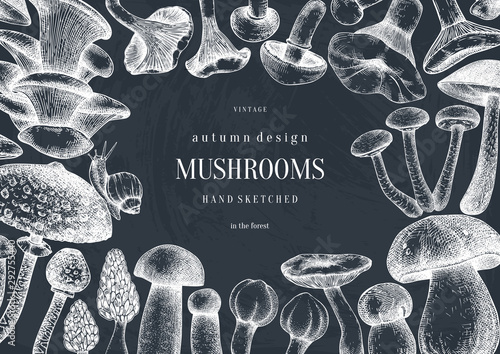 Vintage frame design with culinary mushrooms sketches. Forest plants template on chalkboard. Perfect for recipe, menu, label, icon, packaging. Hand sketched mushrooms background.