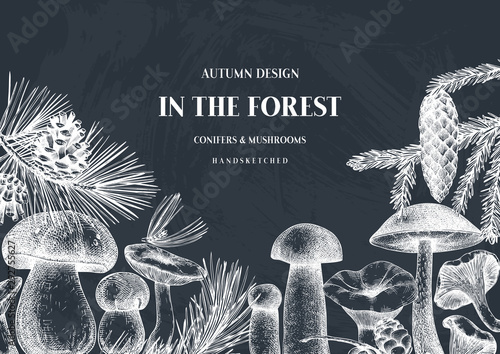 Vintage frame design with culinary mushrooms sketches. Forest plants template on chalkboard. Perfect for recipe, menu, label, icon, packaging. Hand sketched mushrooms background.