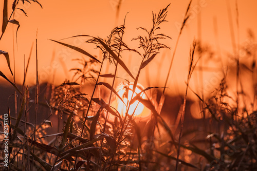 sonnenaufgang