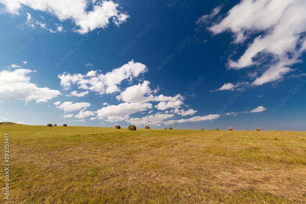 Fototapeta premium Meadow. Haystacks landscape