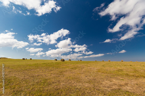 Meadow. Haystacks landscape