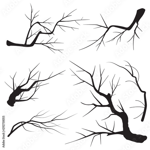 Set of Tree Branches Silhouette