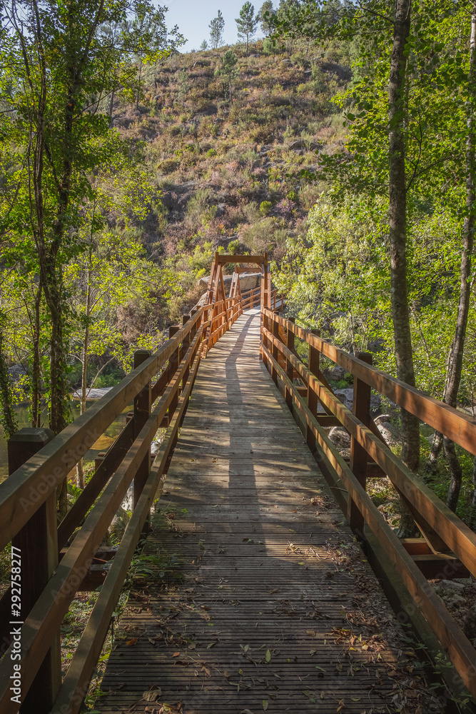 Bonito caminho sobre a ponte na floresta Bonito caminho sobre a ponte na floresta