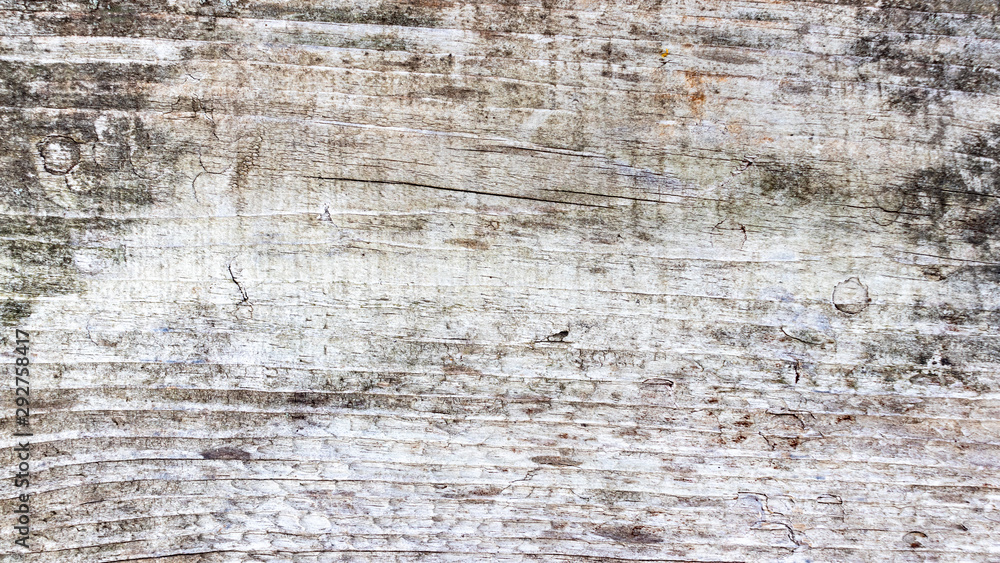 Brown grey scratched wooden cutting board. Old natural wooden shabby background close up. Wood texture. Brown grey scratched wooden cutting board. Old natural wooden shabby background close up. Wood texture.