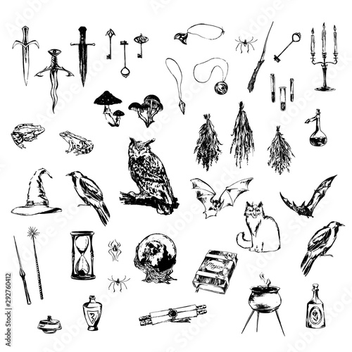 Big set of hand drawn decoration design elements for halloween party. Medieval magic objects and animals painted by ink. Grunge style vector black sketch illustration isolated on white background