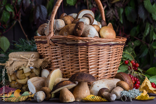 Mushroom Boletus in wooden wicker basket. Boletus edulis over Wood Background, close up on rustic table. Cooking delicious organic mushroom. Gourmet food,Autumn Cep Mushrooms. Mushrooms Picking