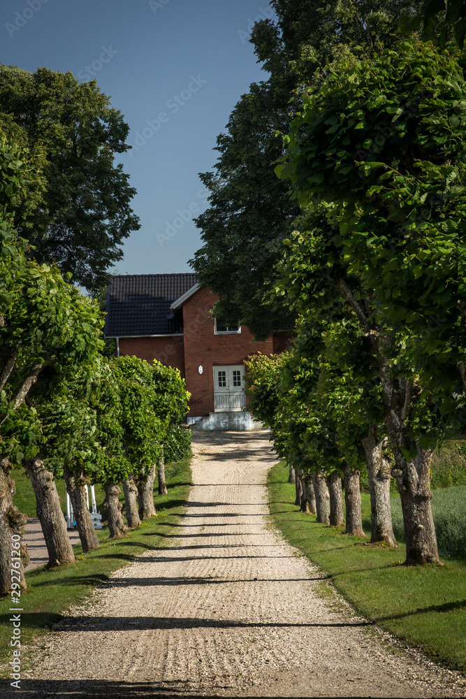 Allee zu einem schwedischen Haus Allee zu einem schwedischen Haus