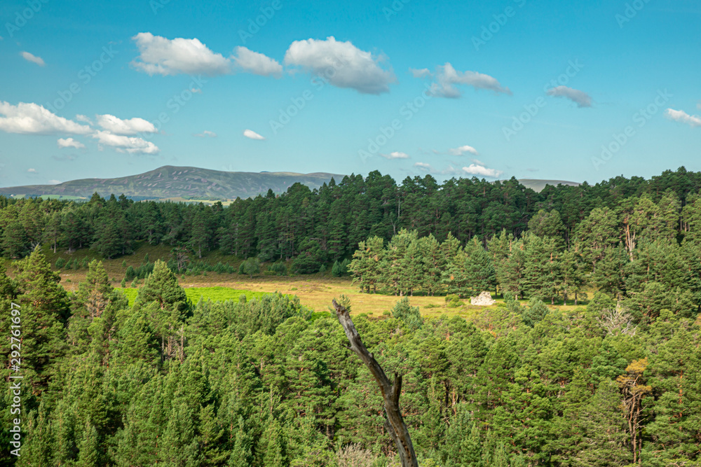 Picturesque sunny view in Scottish Highlands, Cairngorms National Park near Lecht Ski Resort, Scotland, United Kingdom, Europe