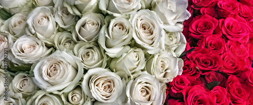 Natural white red roses background Valentine's Day