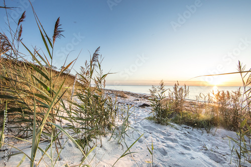 Fototapeta Naklejka Na Ścianę i Meble -  strand