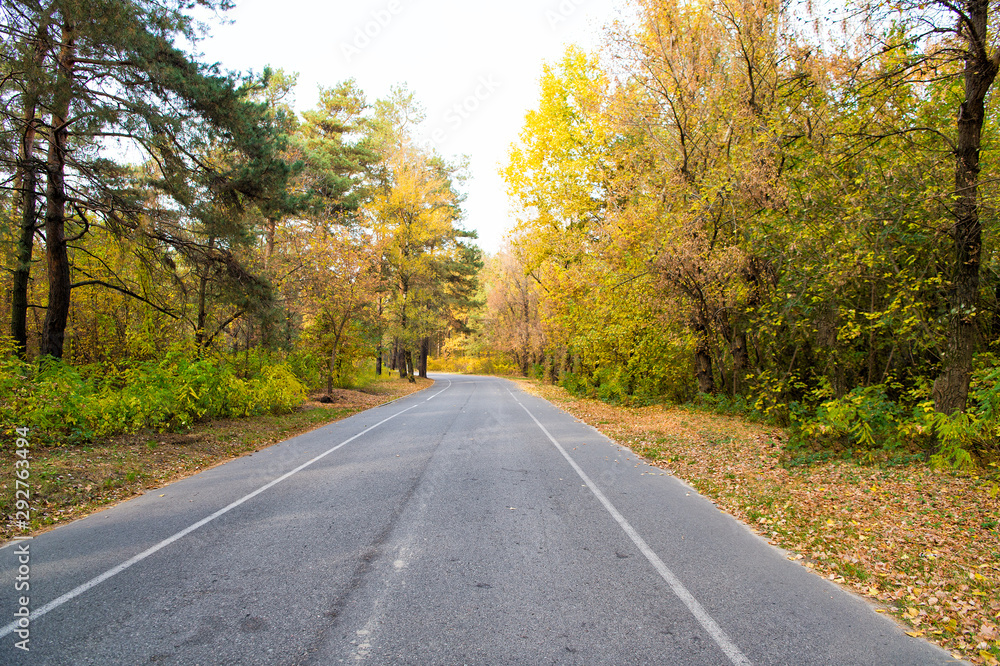 Autumn is all around us. Road through autumn forest. Desolate road on natural landscape. Asphalt road. Road in countryside. Travelling and wanderlust. Fall season travel. Autumn vacation Autumn is all around us. Road through autumn forest. Desolate road on natural landscape. Asphalt road. Road in countryside. Travelling and wanderlust. Fall season travel. Autumn vacation