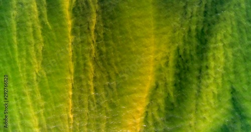 Surface Accumulations With Blue-green Algae Concentrations In The Baltic Sea