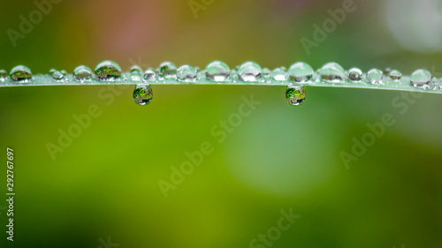A close image of a water drop in raining weather