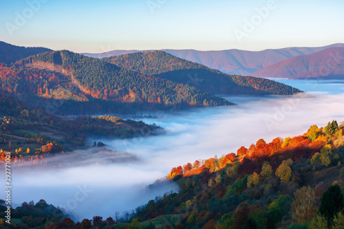 beautiful autumn landscape with valley fog. wonderful nature scenery at sunrise. mountain ridge in the distance.