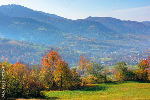 mountainous countryside on a sunny autumn day. trees in colorful foliage. distant ridge in haze. bright blue sky with clouds. beautiful rural area of carpathian landscape