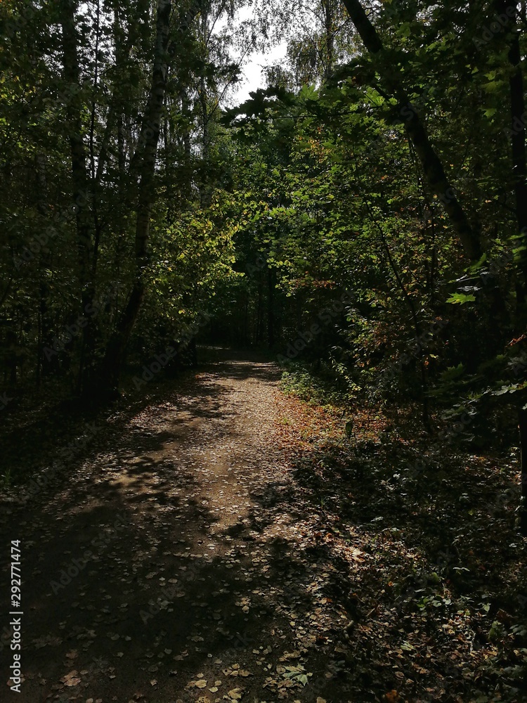 Summer landscape Summer landscape