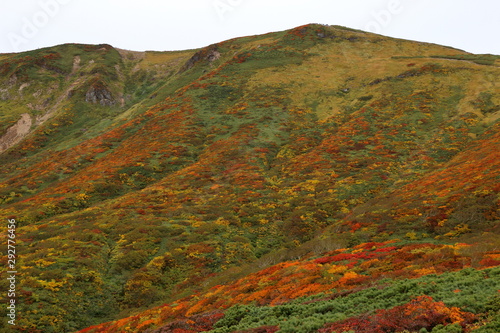 紅葉の栗駒山 ( Beautiful autumnscape at Mount Kurikoma, Tohoku, Japan ) photo