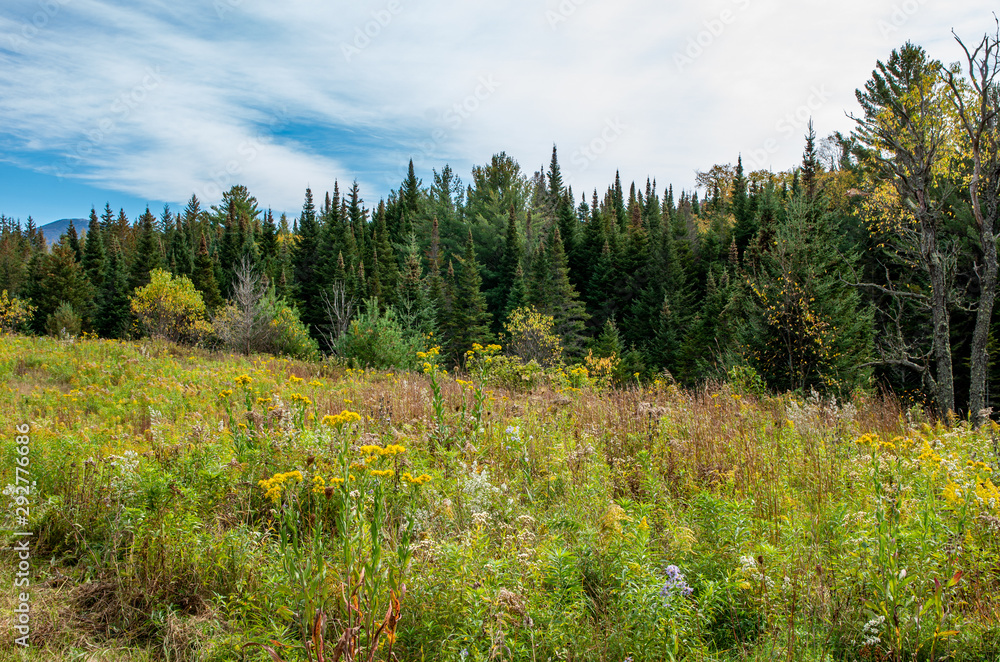Fototapeta premium Fall foliage in the Adirondack Mountains