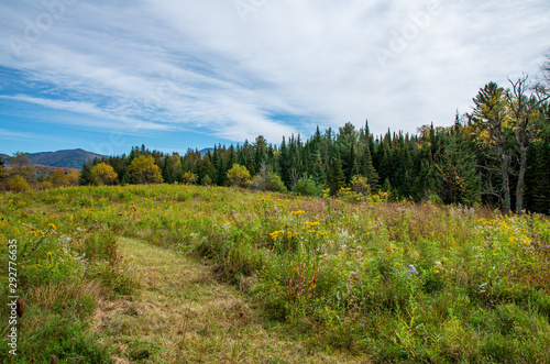 Fall foliage in the Adirondack Mountains