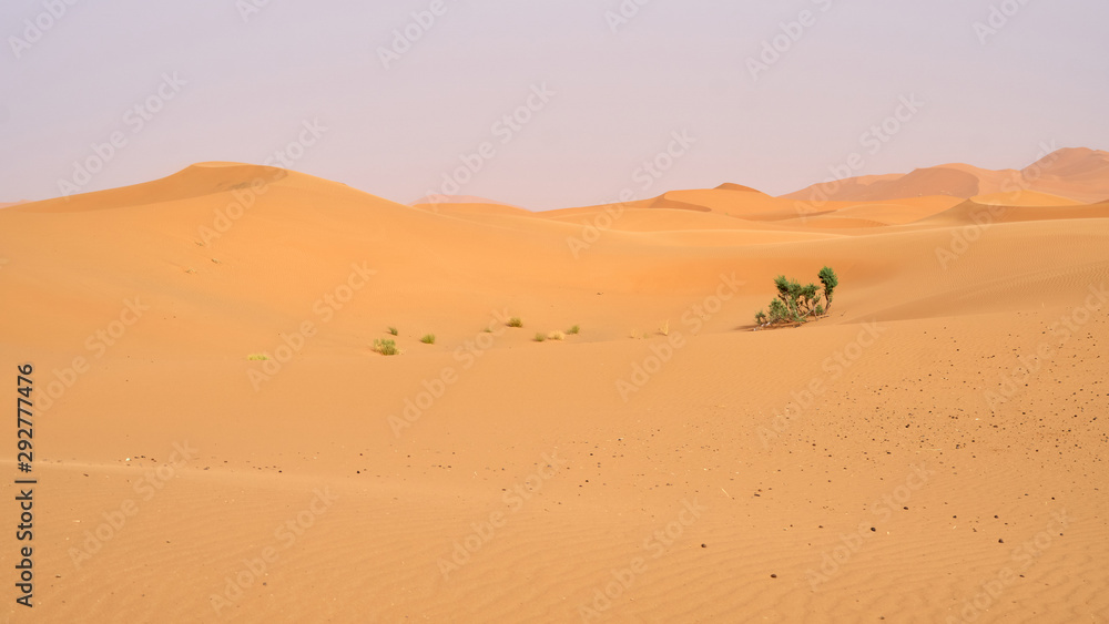 Sahara desert, landscape with a beautiful sand dunes in Morocco.