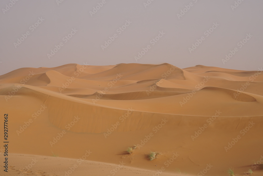 Sahara desert, landscape with a beautiful sand dunes in Morocco.