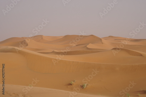 Sahara desert  landscape with a beautiful sand dunes in Morocco.