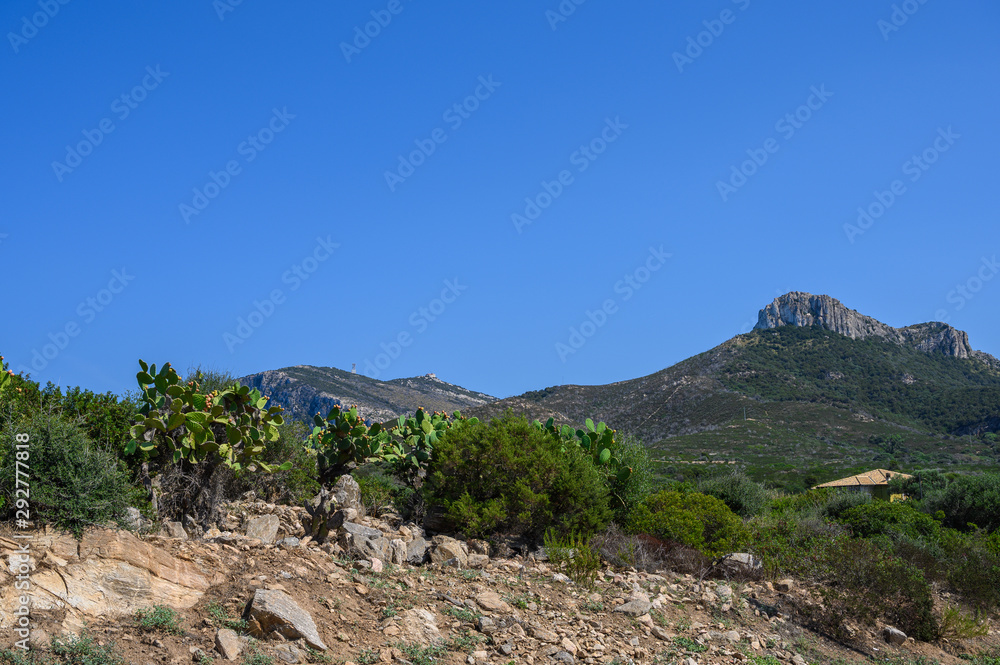 Trees and mountains against the blue sky in Sardinia Trees and mountains against the blue sky in Sardinia