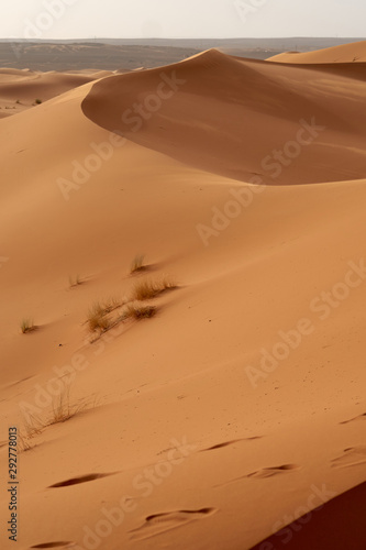 Sahara desert  landscape with a beautiful sand dunes in Morocco.