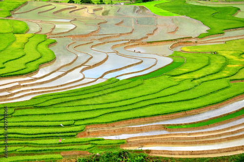 rice terraces Mu Cang Chai - the wonders of the farmers
