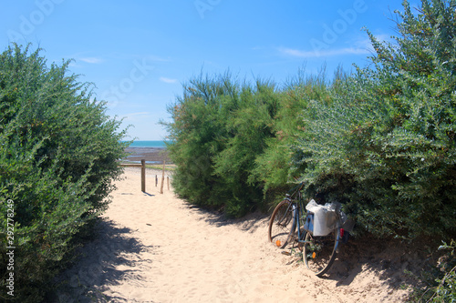 Beach Ile de Re