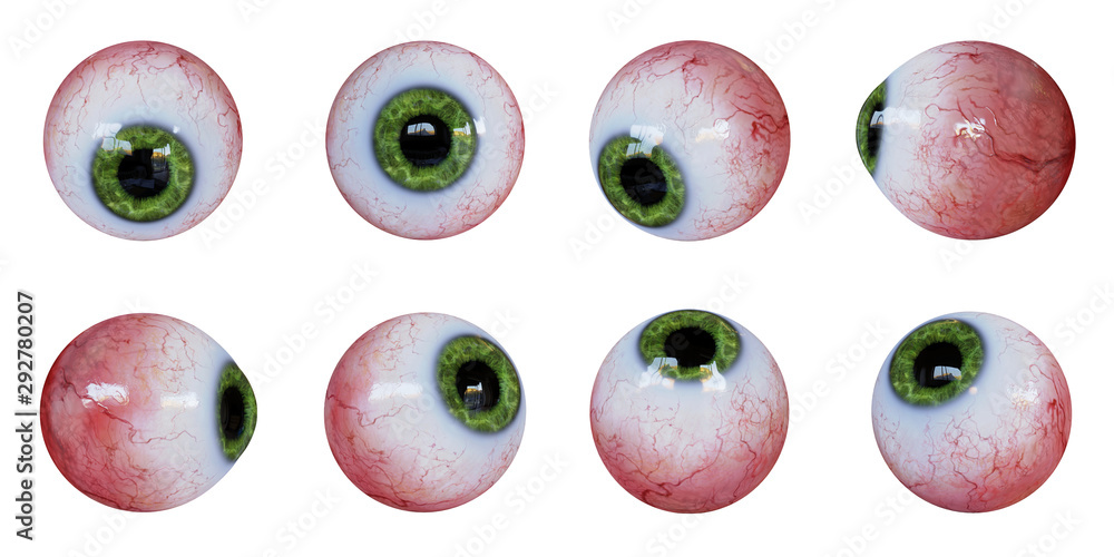 set of human eyeballs with green iris isolated on white background