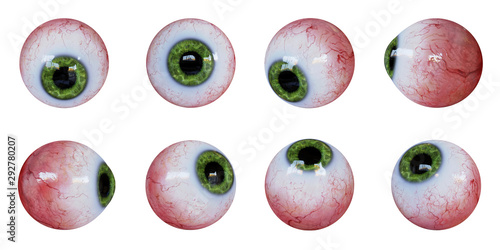 Obraz na płótnie set of human eyeballs with green iris isolated on white background w salonie