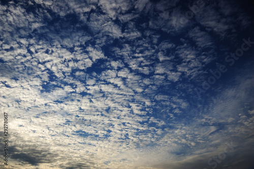 うろこ雲 鱗雲 空 雲 青空 Stock Photo Adobe Stock うろこ雲 鱗雲 空 雲 青空 Stock Photo Adobe Stock
