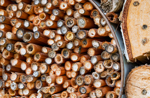 Close-up view of an insect hotel