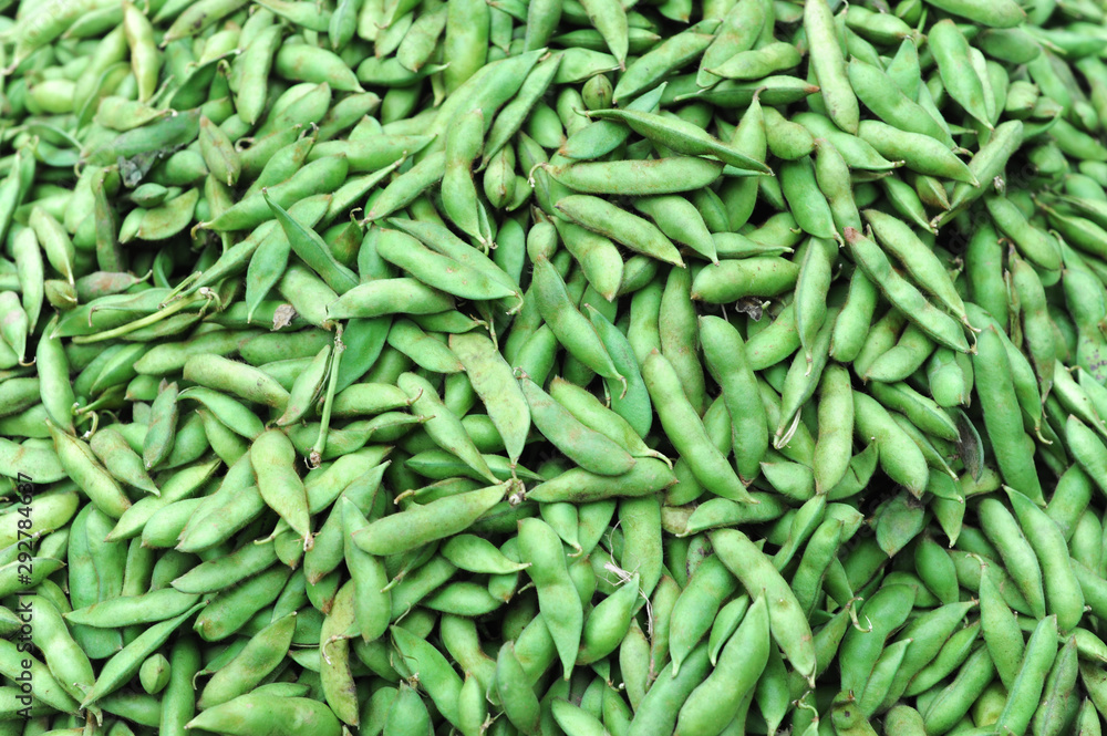 close up on green soybean pod as food background close up on green soybean pod as food background