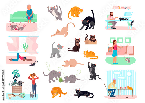Big Bundle of Cats