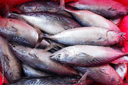 fresh tuna in grocery market