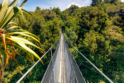 Suspension bridge over the river at Egmont National Park, NZ