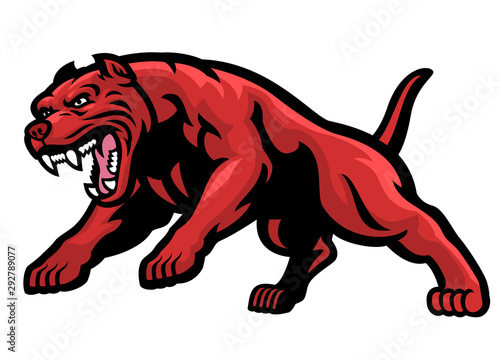 angry charging pit bull dog