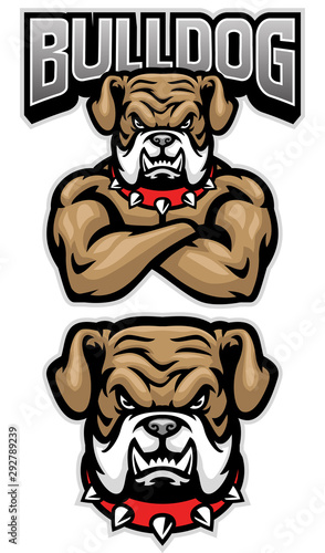 Foto fierce bulldog mascot crossed arm pose
