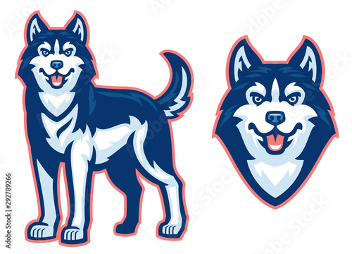 husky dog set