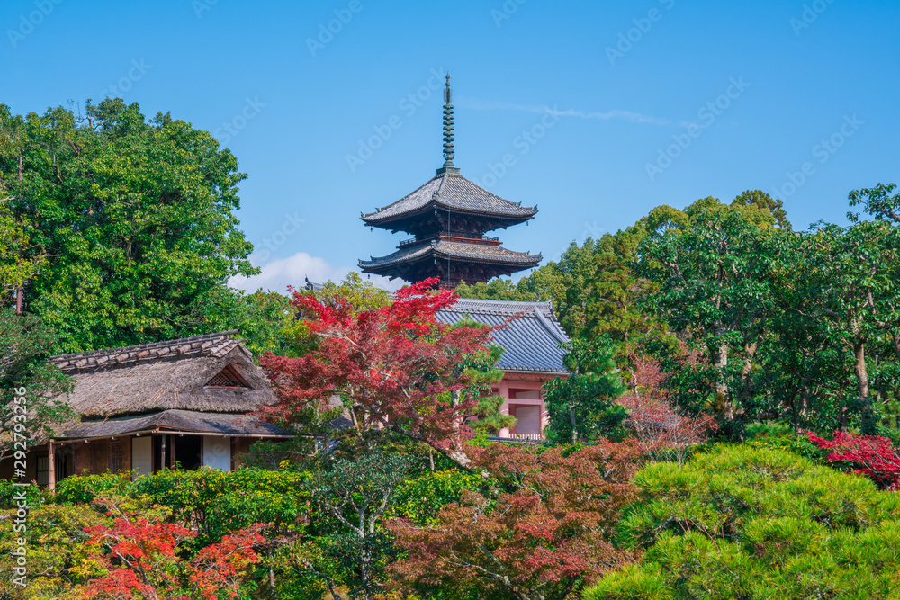 京都仁　和寺の紅葉