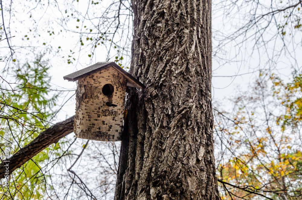 Birdhouse for birds on a tree in autumn.