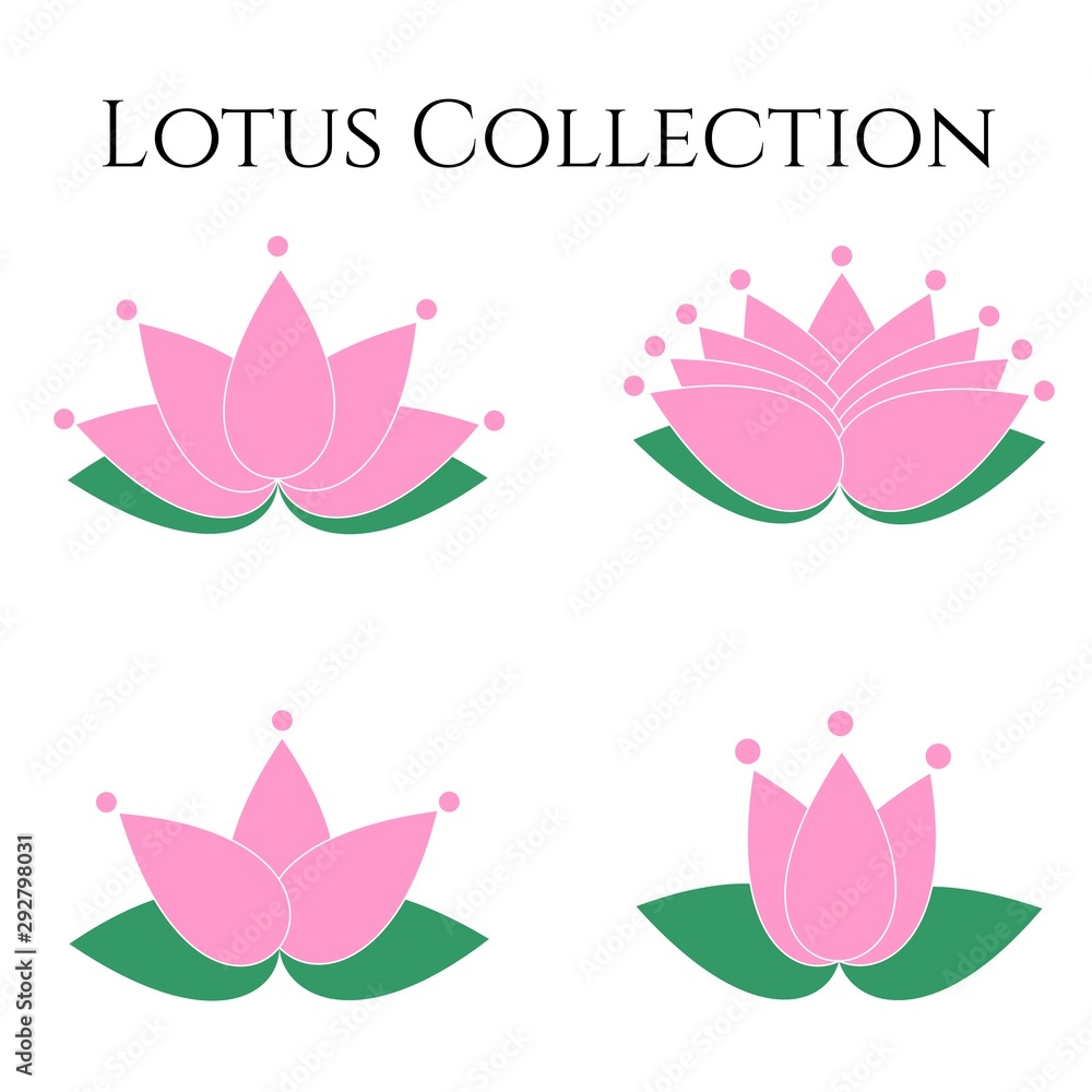 Lotus Collection Lotus Collection