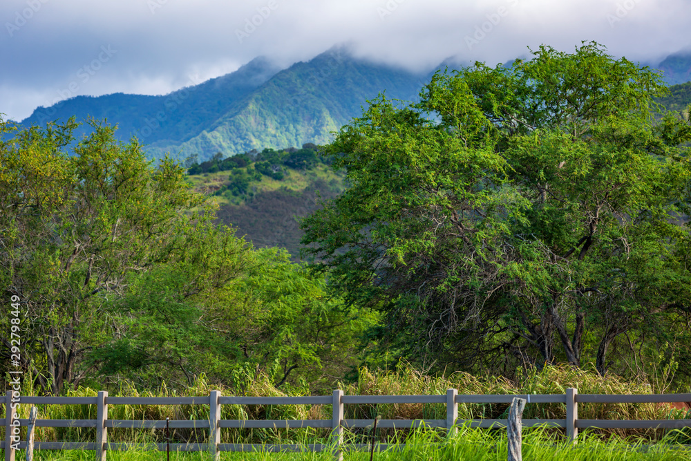 Ranch landscape against the mountains 